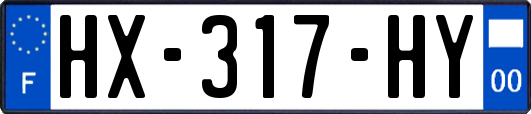 HX-317-HY