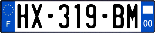 HX-319-BM