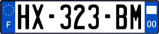 HX-323-BM