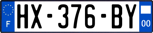 HX-376-BY