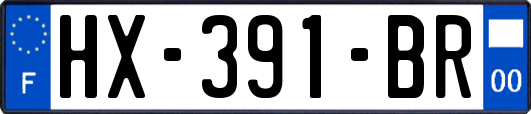 HX-391-BR