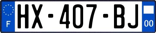 HX-407-BJ