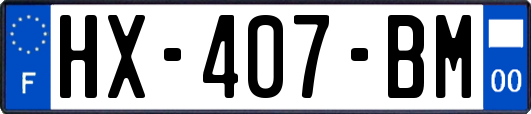 HX-407-BM