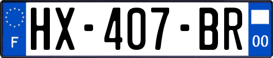 HX-407-BR