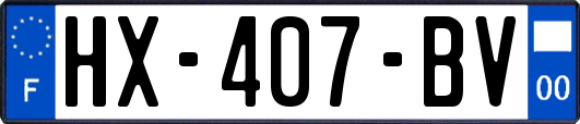 HX-407-BV
