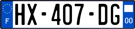 HX-407-DG