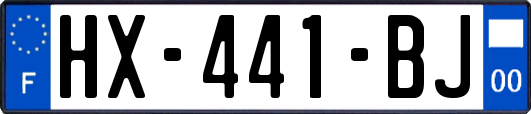 HX-441-BJ