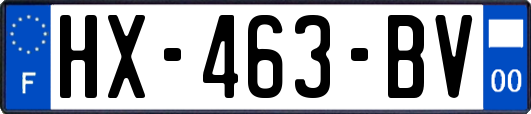 HX-463-BV