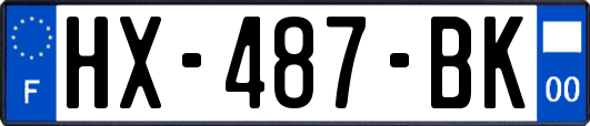 HX-487-BK