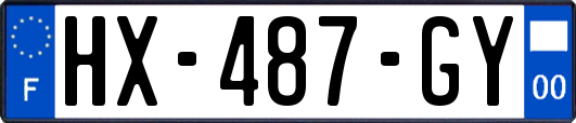 HX-487-GY