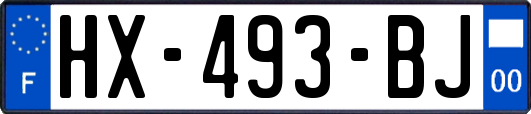 HX-493-BJ
