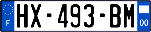 HX-493-BM