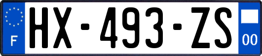 HX-493-ZS