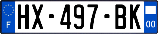 HX-497-BK