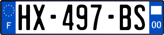 HX-497-BS
