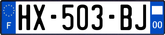 HX-503-BJ