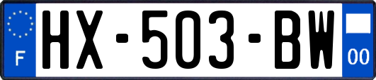 HX-503-BW