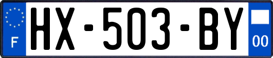 HX-503-BY