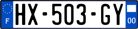 HX-503-GY