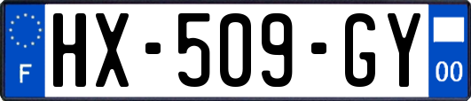 HX-509-GY