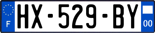 HX-529-BY
