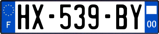 HX-539-BY