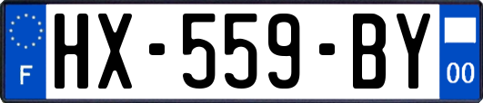 HX-559-BY