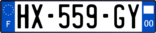 HX-559-GY