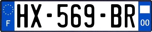 HX-569-BR