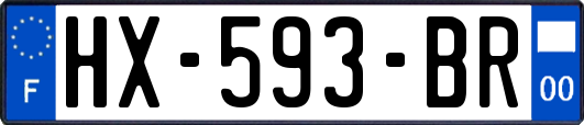HX-593-BR