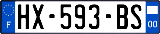 HX-593-BS