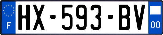 HX-593-BV
