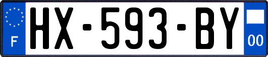 HX-593-BY