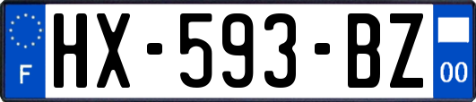 HX-593-BZ
