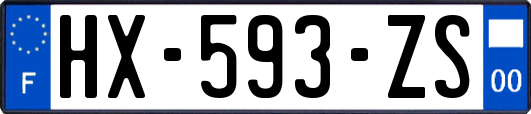HX-593-ZS