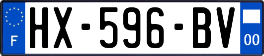 HX-596-BV