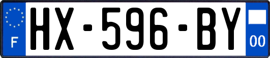 HX-596-BY
