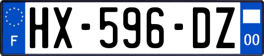 HX-596-DZ