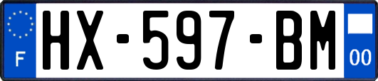 HX-597-BM