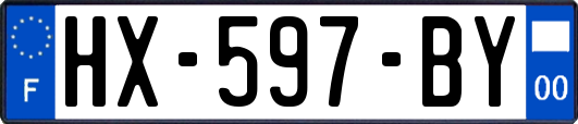 HX-597-BY