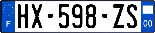 HX-598-ZS