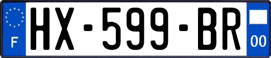 HX-599-BR