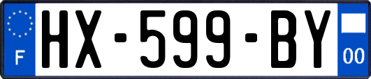 HX-599-BY