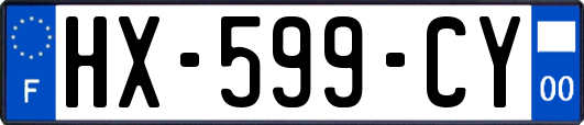 HX-599-CY