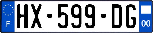 HX-599-DG