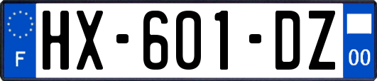 HX-601-DZ