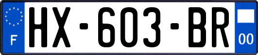 HX-603-BR