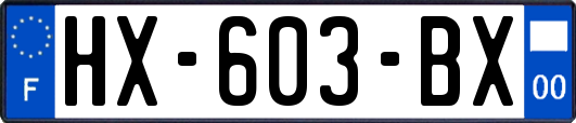 HX-603-BX