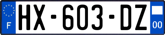 HX-603-DZ