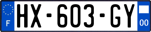 HX-603-GY